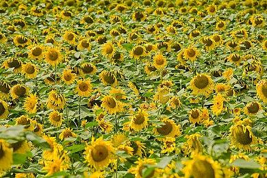 KOEI TECMO Spring Sale 2025开跑！ ～人气游戏最低1.5折起～